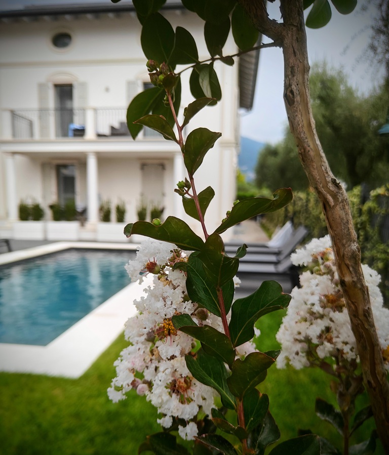 Vista Lago